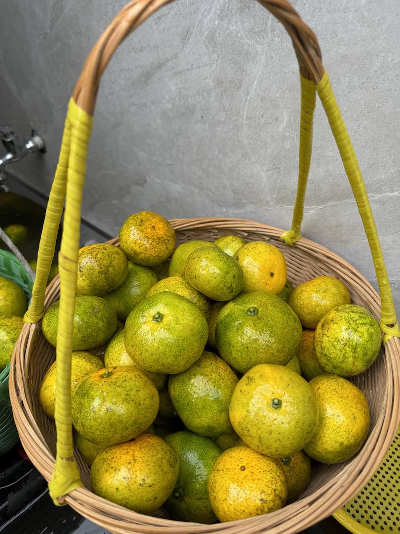 MaoLi Oranges 1080p